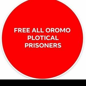 Meet your Posher, Samira